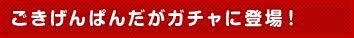 ごきげんぱんだがガチャに登場！