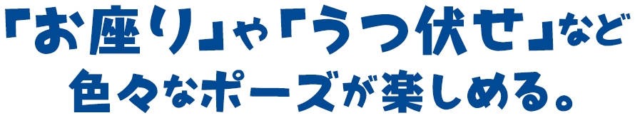 「お座り」や「うつ伏せ」など色々なポーズが楽しめる