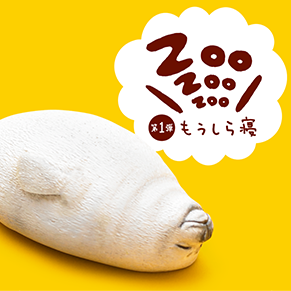 ZooZooZoo もうしら寝