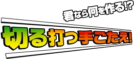 君なら何を作る!? 切る打つ手ごたえ！