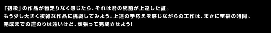 「初級」の作品が物足りなく感じたら、それは君の腕前が上達した証。もう少し大きく複雑な作品に挑戦してみよう。上達の手応えを感じながらの工作は、まさに至福の時間。完成までの道のりは遠いけど、頑張って完成させよう！