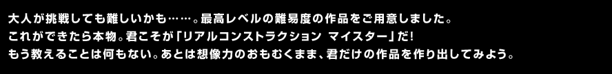 大人が挑戦しても難しいかも……。最高レベルの難易度の作品をご用意しました。これができたら本物。君こそが「リアルコンストラクション マイスター」だ！もう教えることは何もない。あとは想像力のおもむくまま、君だけの作品を作り出してみよう。